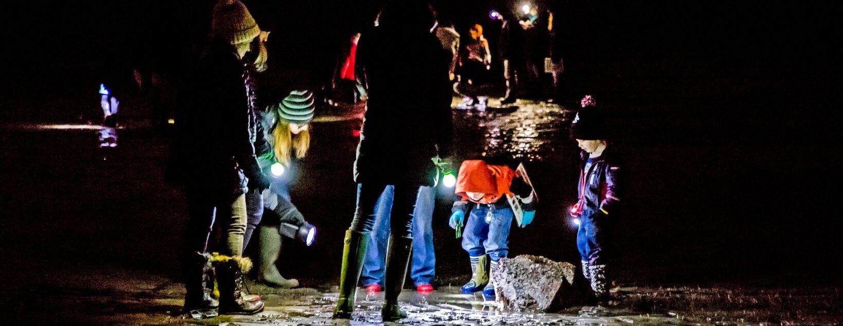 Moonlight Beach Walk- January 31 (8:00-10:00 PM)